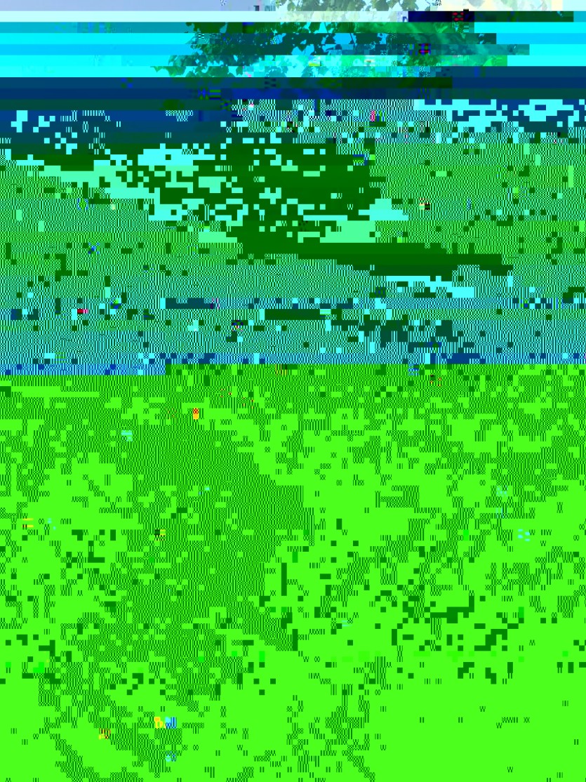 2728287602_Xo8OJvWz_83a43e476f66ba01ecec2fe73dfc5dfa762d15dd.jsp